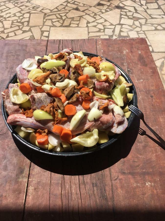 B&B Dal Pescatore Fažana Buitenkant foto